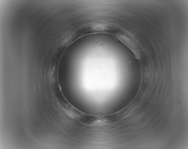 X0000067330364200604030939