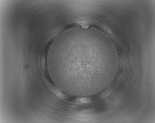 X0000067330365200604030939