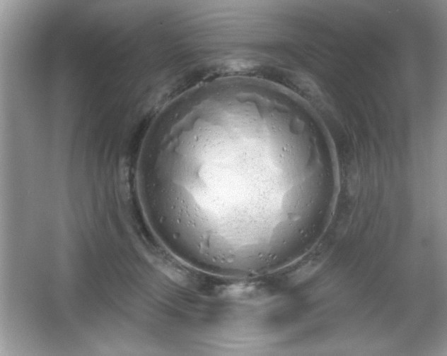 X0000067330366200604030939