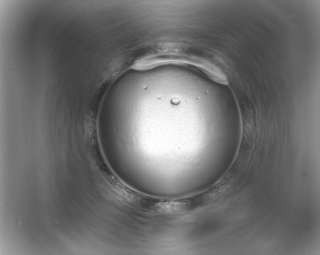 X0000067330367200604030939