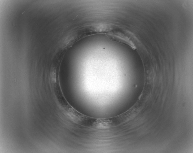 X0000067330368200604030939