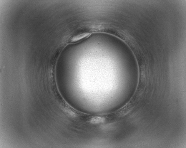 X0000067330369200604030939