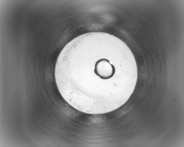 X0000067330370200604030939