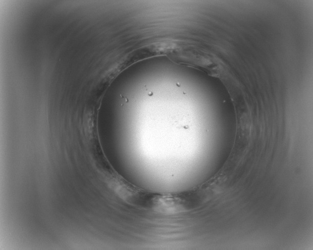 X0000067330372200604030939