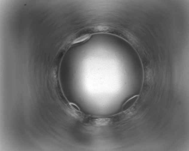 X0000067330373200604030939