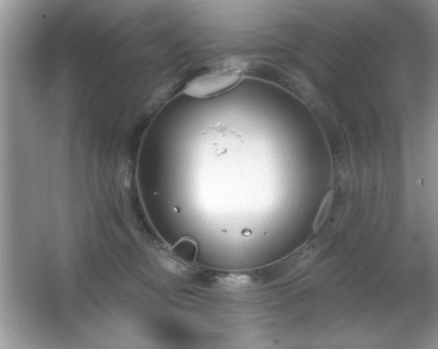 X0000067330374200604030939