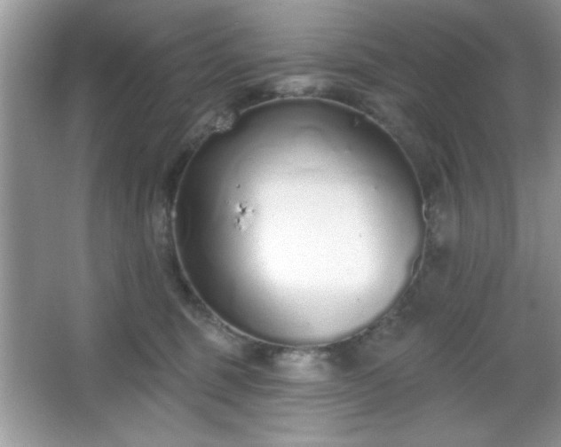 X0000067330375200604030939