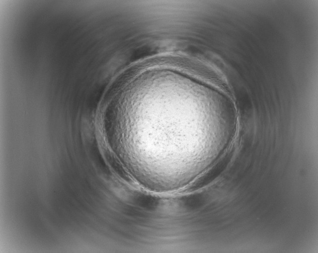 X0000067330376200604030939