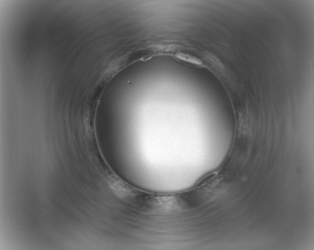 X0000067330377200604030939