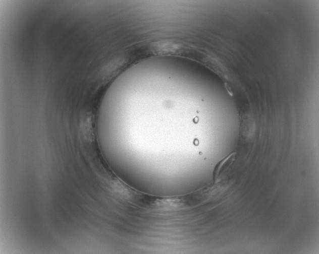 X0000067330378200604030939