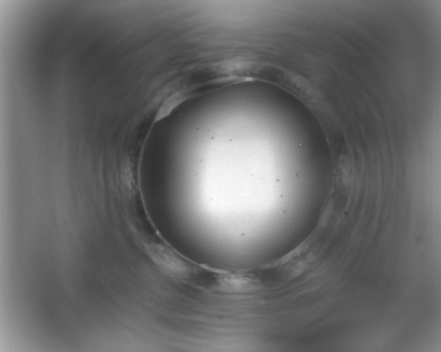 X0000067330380200604030939