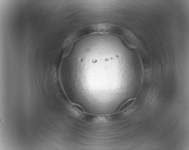 X0000067330381200604030939