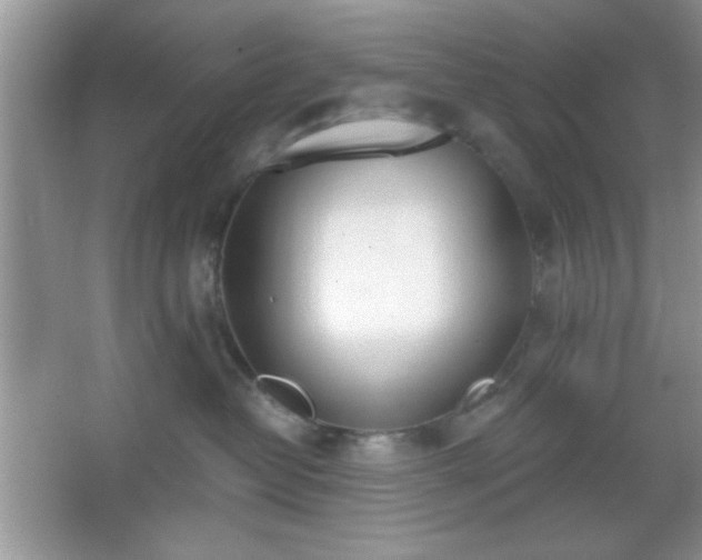 X0000067330382200604030939