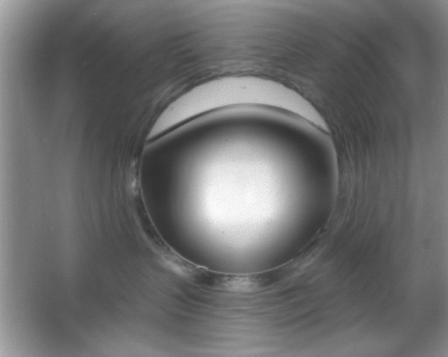 X0000067330383200604030939