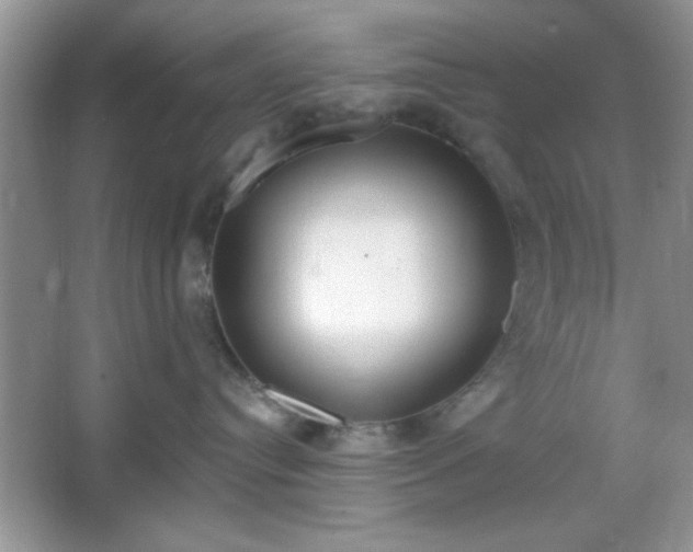 X0000067330384200604030940