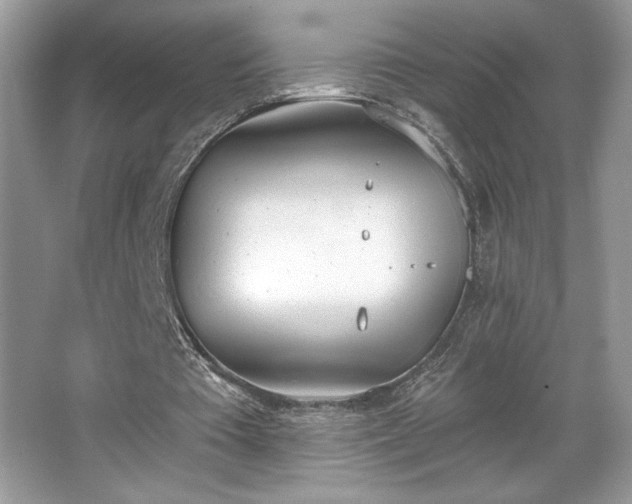 X0000067330385200604030939