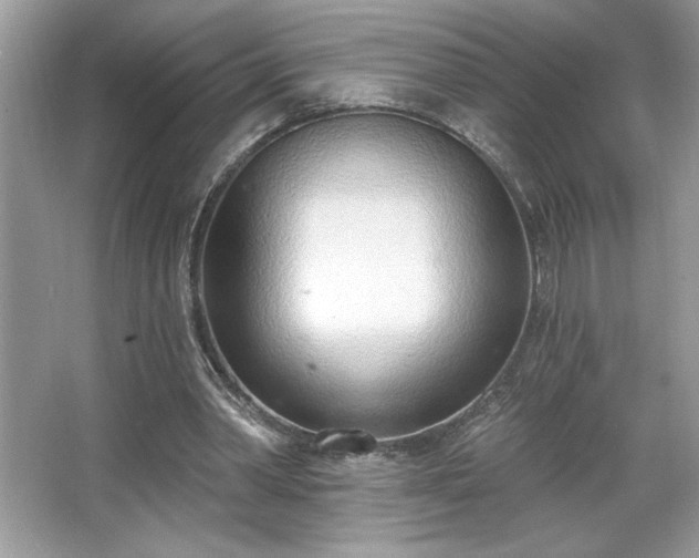 X0000067330390200604030939