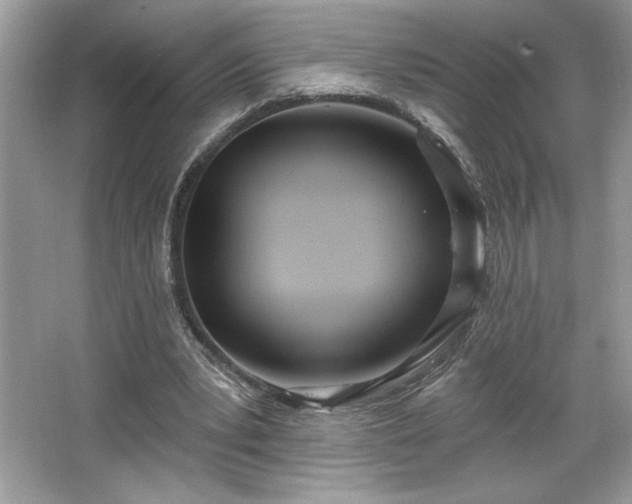 X0000067330391200604030939