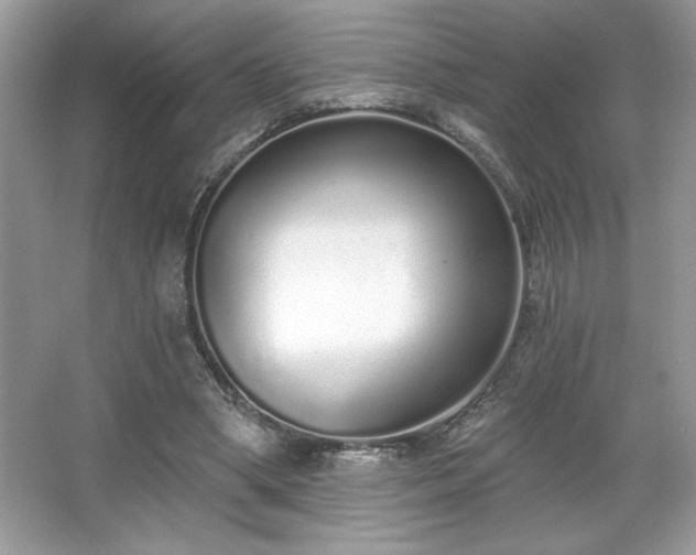 X0000067330394200604030939