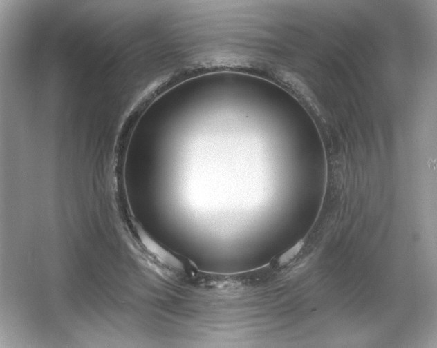 X0000067330395200604030939