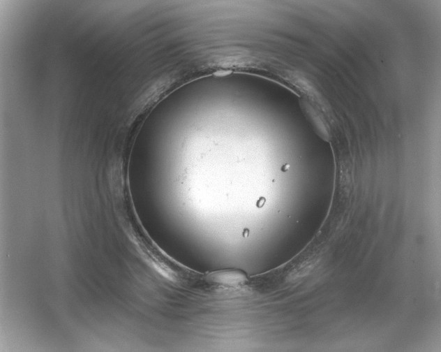 X0000067330397200604030938