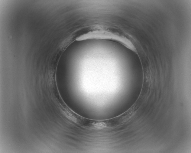 X0000067330409200604030938