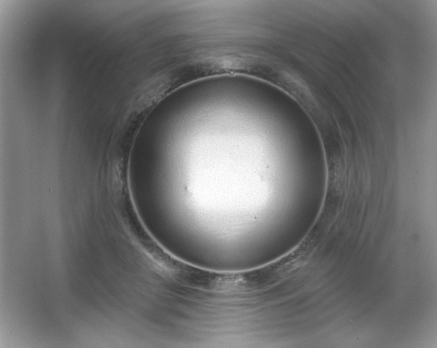 X0000067330410200604030938