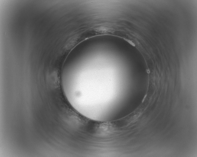 X0000067330420200604030938