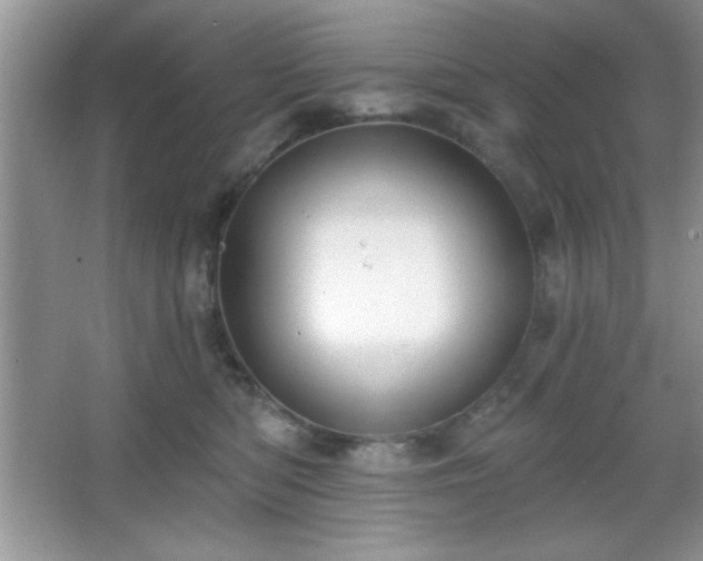 X0000067330422200604030938