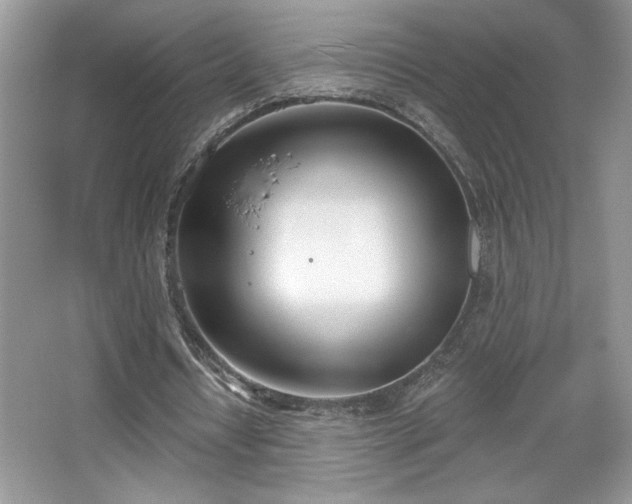 X0000067330434200604030937