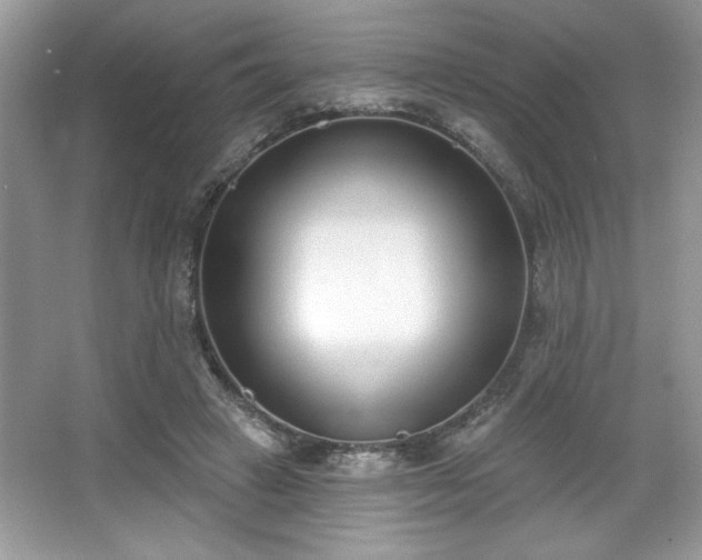 X0000067330449200604030937