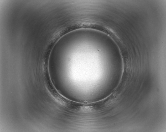 X0000067330451200604030937