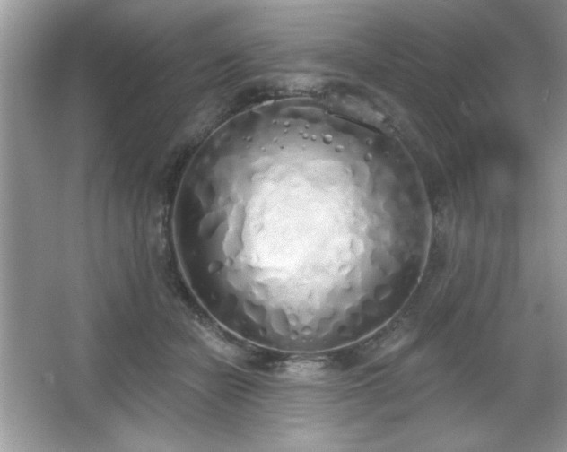 X0000067330462200604030938