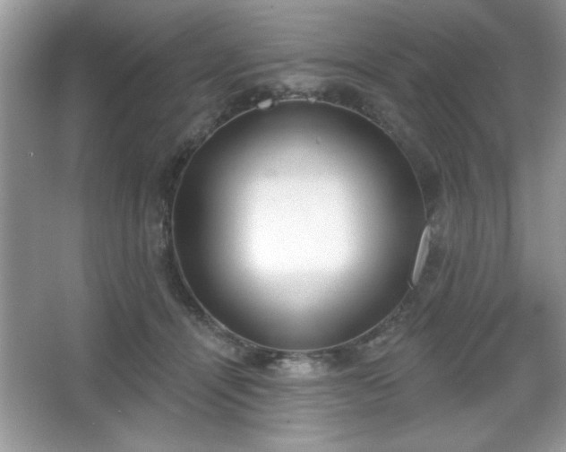 X0000067330464200604030938