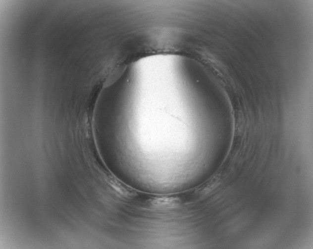 X0000067330465200604030938