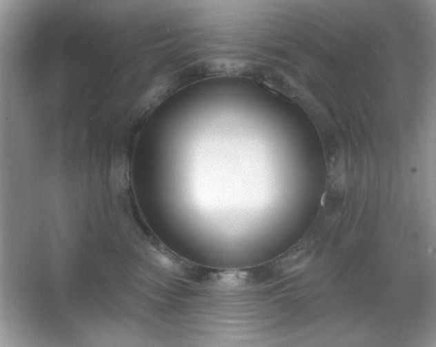 X0000067330474200604030938