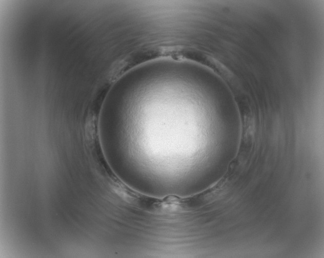 X0000067330475200604030938