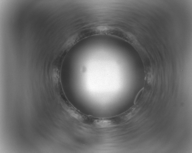 X0000067330476200604030938