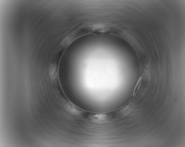 X0000067330478200604030938