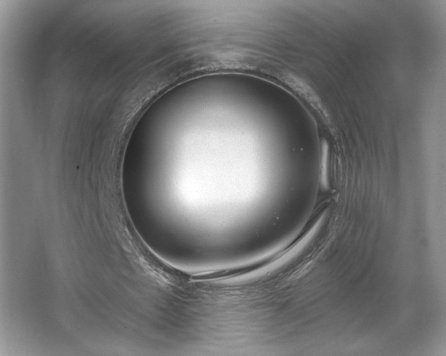 X0000067330481200604030937
