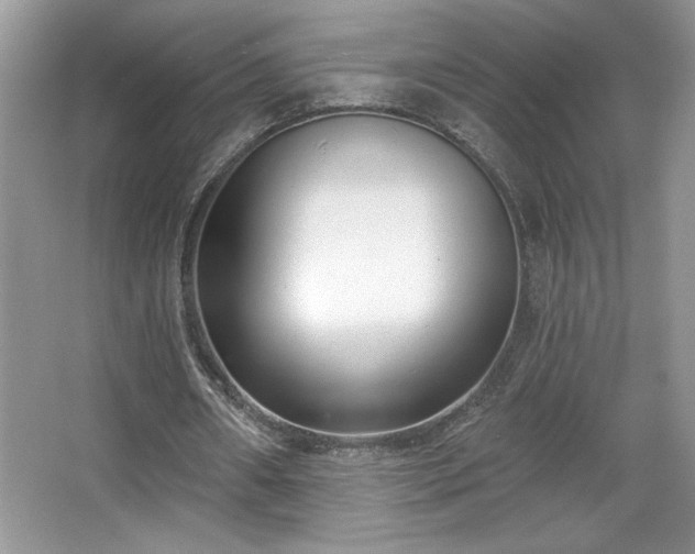 X0000067330482200604030937