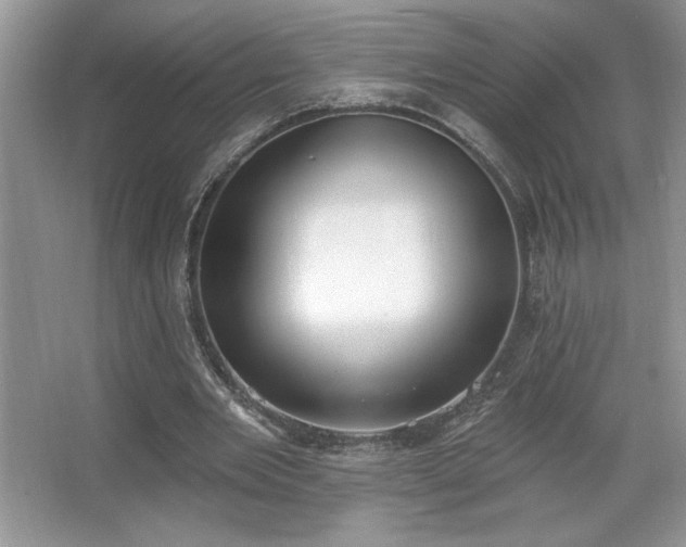 X0000067330485200604030937