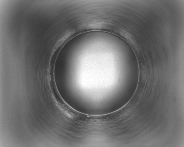 X0000067330486200604030937