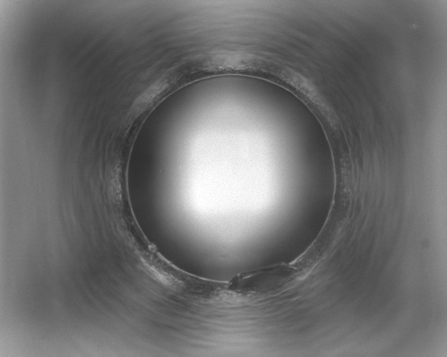 X0000067330489200604030937