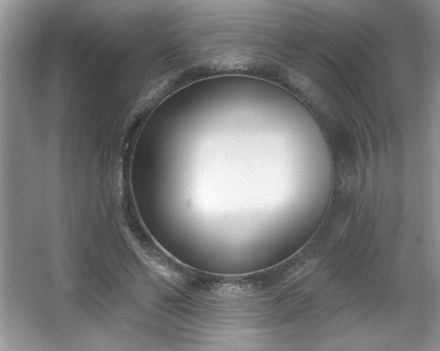 X0000067330494200604030937