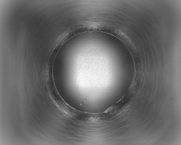 X0000067330496200604030937