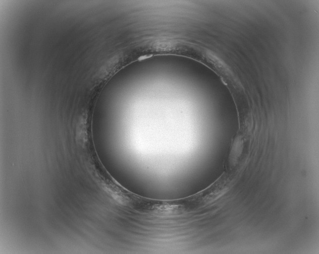 X0000067330497200604030937
