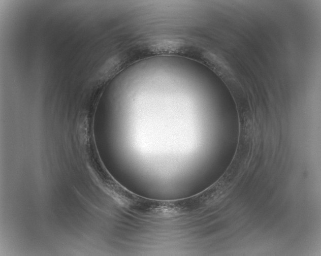 X0000067330498200604030937