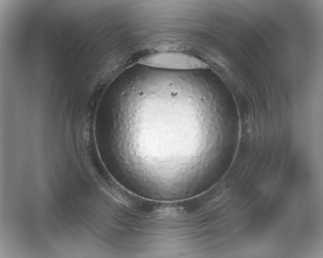 X0000067330499200604030937
