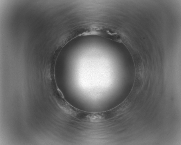 X0000067330512200604030937